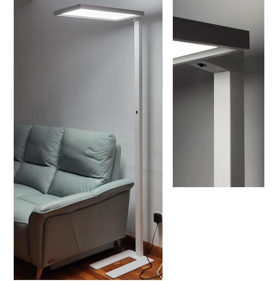 LED Floor Light-White